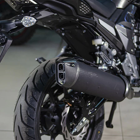 Мотоцикл Regulmoto T-Leopard 300 (Черный, , 100015-3)