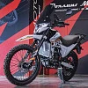 Мотоцикл Regulmoto TE PRO NB300 (Серый, 200110-1)