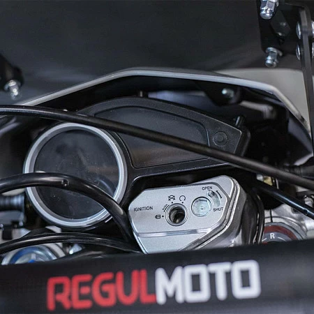 Мотоцикл Regulmoto TE PRO NB300 (Серый, 200110-1)