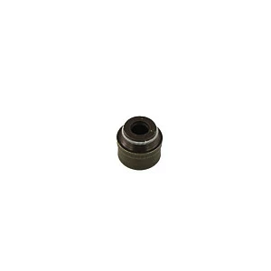 Маслосъемный колпачек (комп.2шт.) KAYO двиг. ZS NC250 (вод.охл.) (P061090) CN